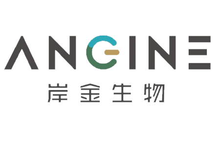 angine logo